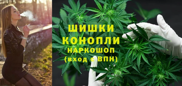 стафф Верхний Тагил
