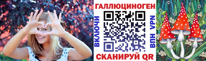 как найти закладки  Гаврилов-Ям  Галлюциногенные грибы GOLDEN TEACHER 